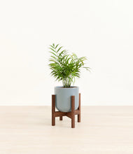 Load image into Gallery viewer, Misty Blue stand:walnut