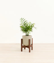 Load image into Gallery viewer, Sage Green stand:walnut