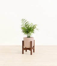 Load image into Gallery viewer, Sandy Pink stand:walnut