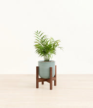 Load image into Gallery viewer, Reactive Aqua stand:walnut