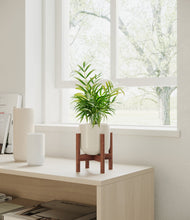 Load image into Gallery viewer, Cotton White stand:walnut