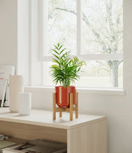 Load image into Gallery viewer, Glossy Red stand:bamboo