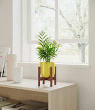Load image into Gallery viewer, Key Lime Yellow stand:walnut
