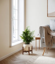 Load image into Gallery viewer, Shiny EggWhite stand:walnut