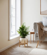 Load image into Gallery viewer, Shiny EggWhite stand:bamboo