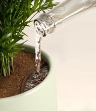 Load image into Gallery viewer, Earthy