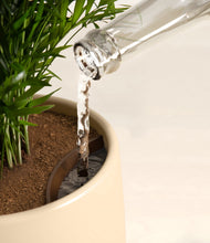 Load image into Gallery viewer, Tiger Lily stand:all