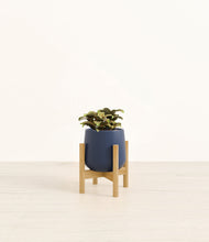 Load image into Gallery viewer, Deep Navy stand:bamboo