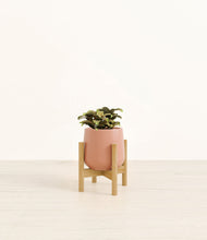 Load image into Gallery viewer, Calm Rose stand:bamboo