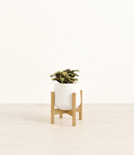 Load image into Gallery viewer, White stand:bamboo