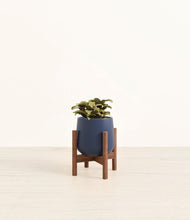 Load image into Gallery viewer, Deep Navy stand:walnut