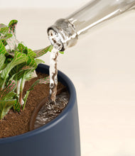 Load image into Gallery viewer, Deep Navy stand:all