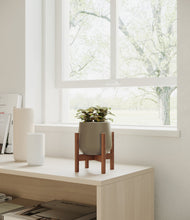 Load image into Gallery viewer, Olive stand:walnut