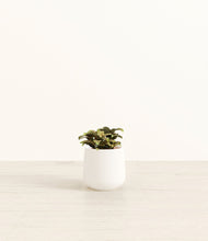 Load image into Gallery viewer, White*****Profile