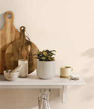 Load image into Gallery viewer, Cotton White