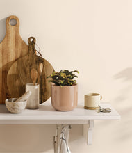 Load image into Gallery viewer, Glossy Pink