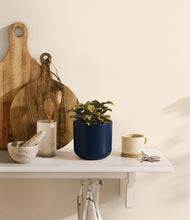 Load image into Gallery viewer, Twilight Blue