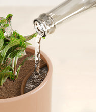 Load image into Gallery viewer, Glossy Pink stand:all