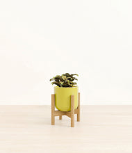 Load image into Gallery viewer, Key Lime Yellow stand:bamboo