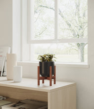 Load image into Gallery viewer, Stone Black stand:walnut