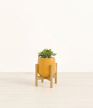 Load image into Gallery viewer, Mustard stand:bamboo