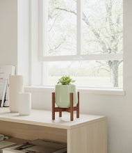 Load image into Gallery viewer, Turquoise stand:walnut