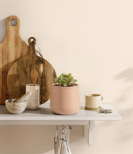 Load image into Gallery viewer, Gentle Pink