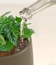 Load image into Gallery viewer, Olive stand:all