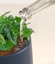 Load image into Gallery viewer, Deep Navy stand:all