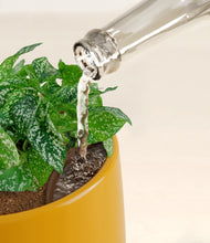 Load image into Gallery viewer, Mustard stand:all