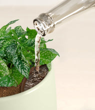 Load image into Gallery viewer, White stand:all