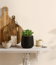 Load image into Gallery viewer, Black