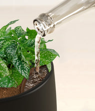 Load image into Gallery viewer, Black stand:all