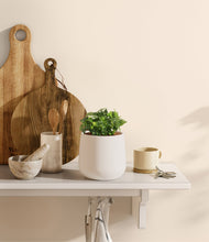 Load image into Gallery viewer, White