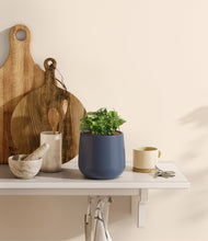 Load image into Gallery viewer, Deep Navy