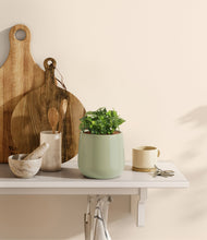 Load image into Gallery viewer, Turquoise