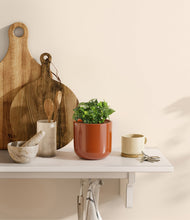 Load image into Gallery viewer, Glossy Red