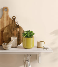 Load image into Gallery viewer, Key Lime Yellow