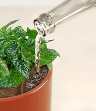 Load image into Gallery viewer, Glossy Red stand:all