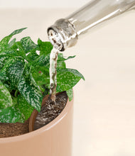 Load image into Gallery viewer, Glossy Pink stand:all