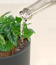 Load image into Gallery viewer, Iron Gray stand:all