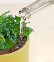 Load image into Gallery viewer, Key Lime Yellow stand:all