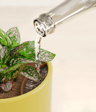 Load image into Gallery viewer, Key Lime Yellow stand:all