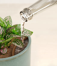 Load image into Gallery viewer, Reactive Aqua stand:all