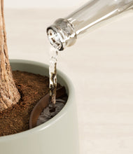 Load image into Gallery viewer, Earthy stand:all