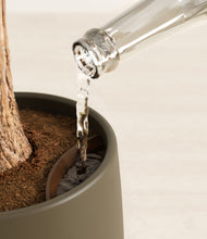 Load image into Gallery viewer, Woodland stand:all