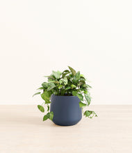 Load image into Gallery viewer, Deep Navy*****Profile