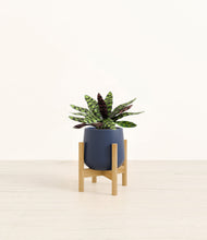Load image into Gallery viewer, Deep Navy stand:bamboo