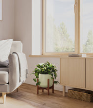 Load image into Gallery viewer, Turquoise stand:walnut