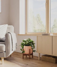 Load image into Gallery viewer, Calm Rose stand:walnut